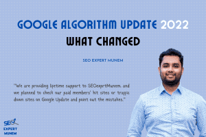 Google Algorithm Update 2022 seo expert munem