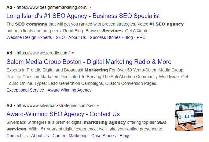 Google Ads (Paid Results)